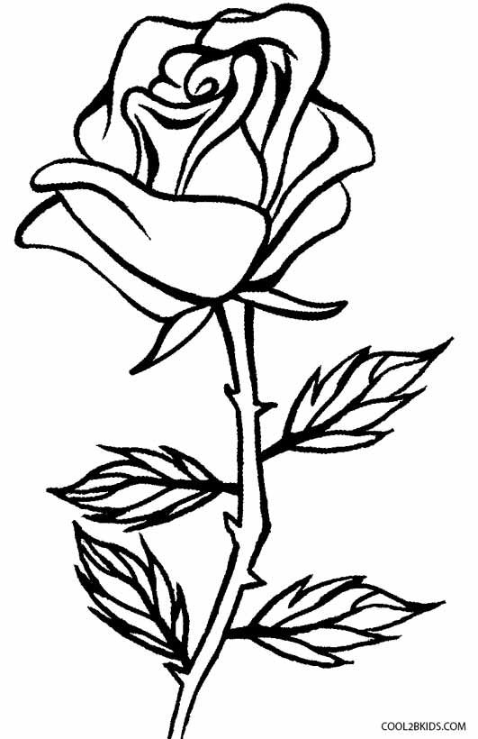 Rose Bush Coloring Pages at Free