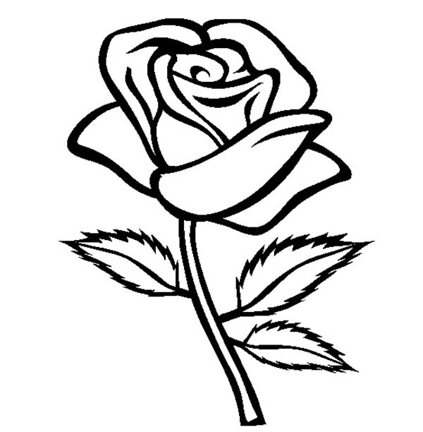 Rose With Three Leaves Coloring Page 600x612 Rose With Three Leaves Coloring Page