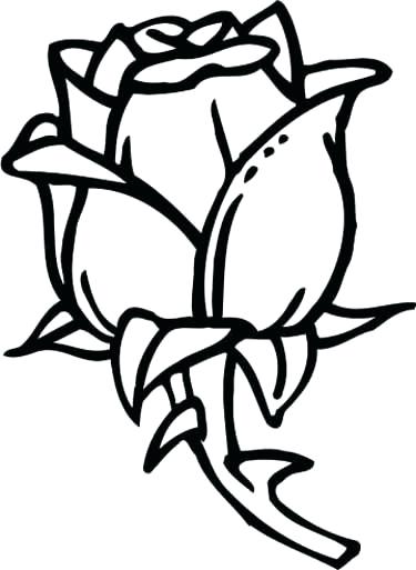 Coloring Pages Of Roses Rose Coloring Page Rose Coloring Page 375x513 Coloring Pages Of Roses Rose Coloring Page Rose Coloring Page