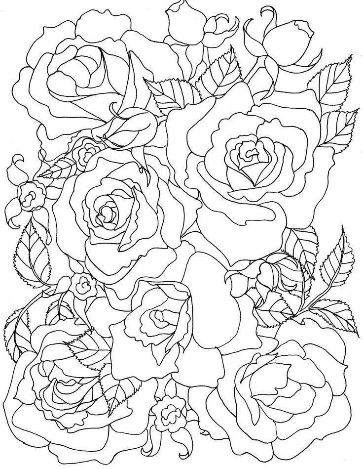 Rose Coloring Pages For Adults