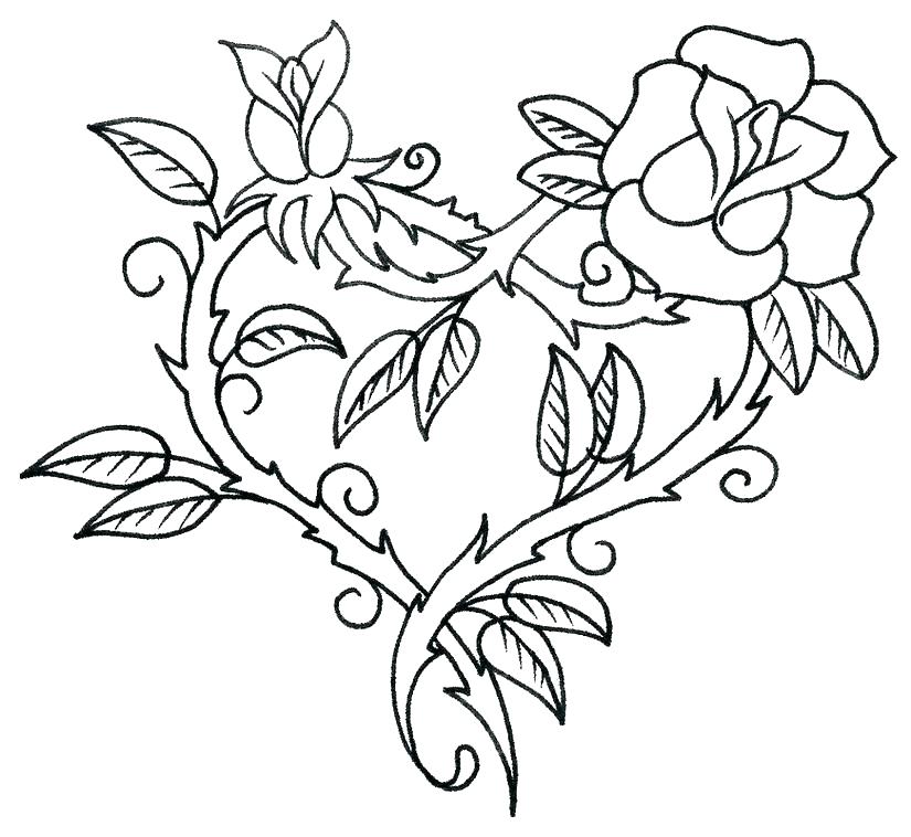 825x758 Adult Rose Coloring Pages
