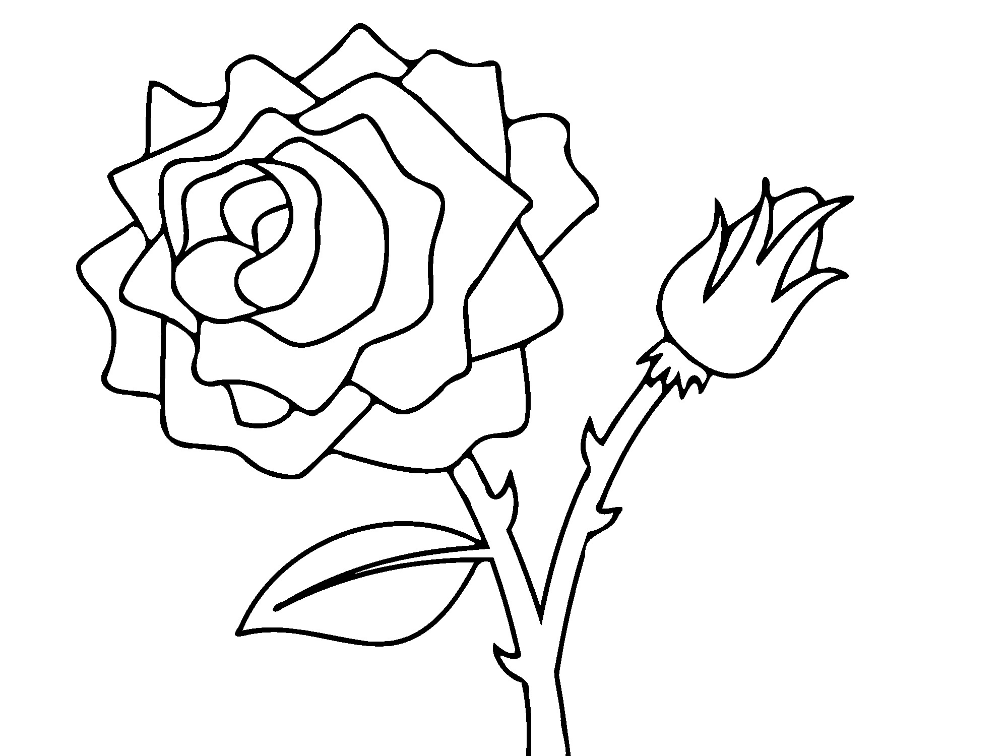 Free Printable Roses Coloring Pages For Kids 2000x1500 Free Printable Roses Coloring Pages For Kids