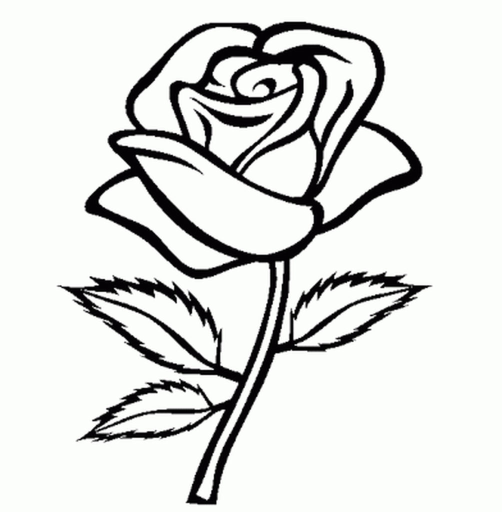 Monumental Flowers Outlines For Colouring Kids Coloring Europe 1004x1024 Monumental Flowers Outlines For Colouring Kids Coloring Europe