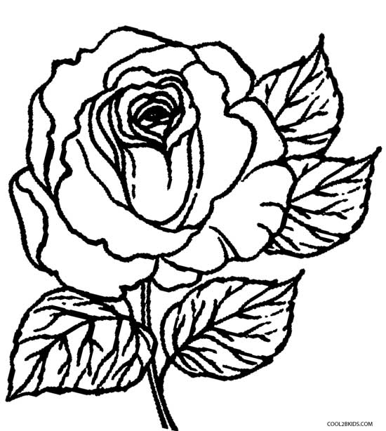 Printable Rose Coloring Pages For Kids Cool2bkids 550x614 Printable Rose Coloring Pages For Kids Cool2bkids