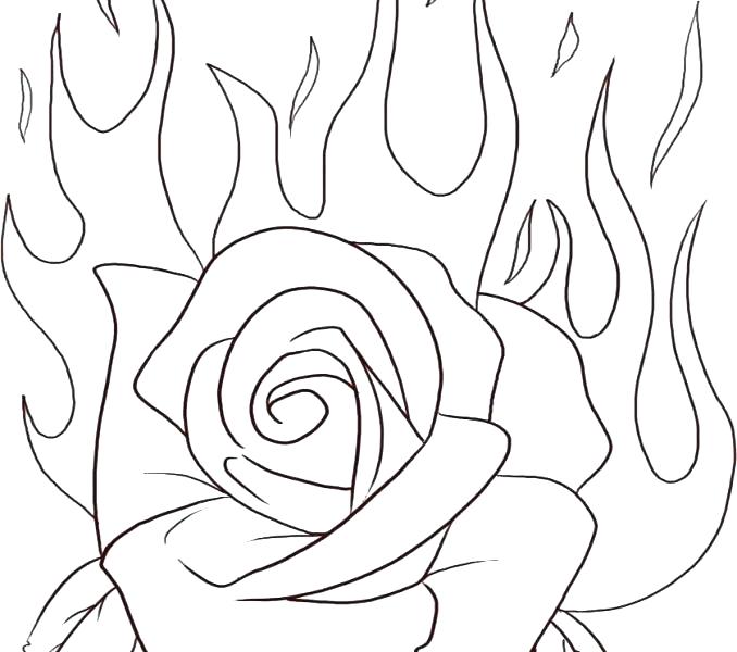 Printable Rose Coloring Pages Rose Coloring Pages Free Printable 678x600 Printable Rose Coloring Pages Rose Coloring Pages Free Printable