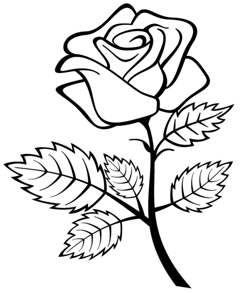 Free Printable Roses Coloring Pages For Kids For The Home Free 823x990 Free Printable Roses Coloring Pages For Kids For The Home Free