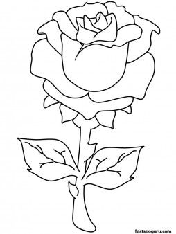Roses Coloring Pages Valentines Day Rose Coloring Pages 254x338 Roses Coloring Pages Valentines Day Rose Coloring Pages