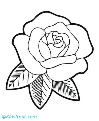 69 Best Roses Images On Coloring Books, Print Coloring 327x400 69 Best Roses Images On Coloring Books, Print Coloring