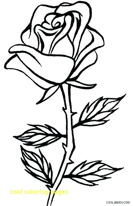 Coloring Pages Cool Cool Pictures To Print Cool Coloring Pages 531x820 Coloring Pages Cool Cool Pictures To Print Cool Coloring Pages