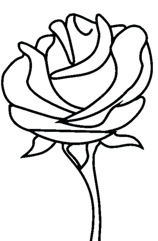 Free Printable Roses Coloring Pages For Kids Rose Color Pages Rose 550x841 Free Printable Roses Coloring Pages For Kids Rose Color Pages Rose