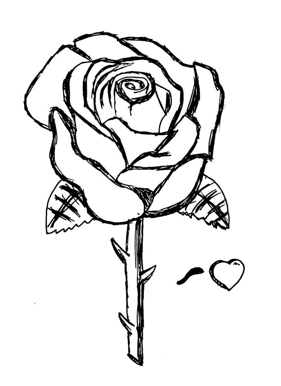 Free Printable Roses Coloring Pages For Kids 900x1238 Free Printable Roses Coloring Pages For Kids