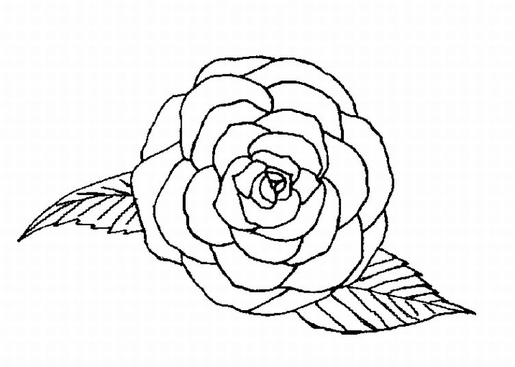 Rose Flower Coloring Page To Color 752x536 Rose Flower Coloring Page To Color
