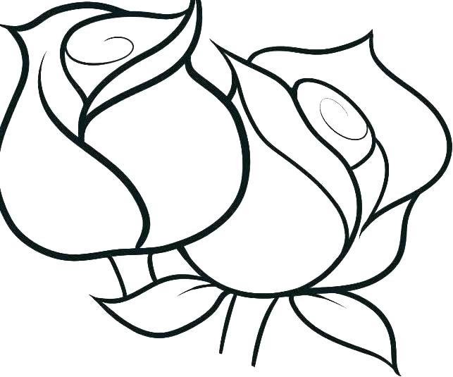 Rose Flower Coloring Pages Idea Pretty Flower Coloring Pages 643x535 Rose Flower Coloring Pages Idea Pretty Flower Coloring Pages