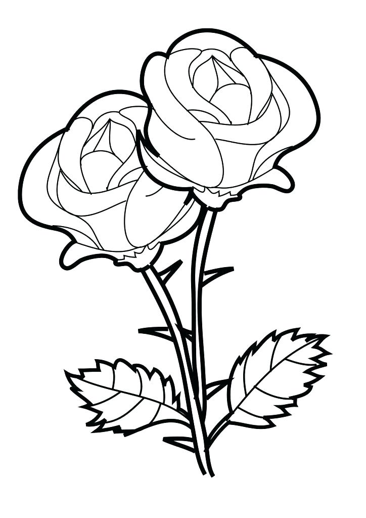Rose Flower Coloring Pages Rose Flower Coloring Pages Free 724x1024 Rose Flower Coloring Pages Rose Flower Coloring Pages Free