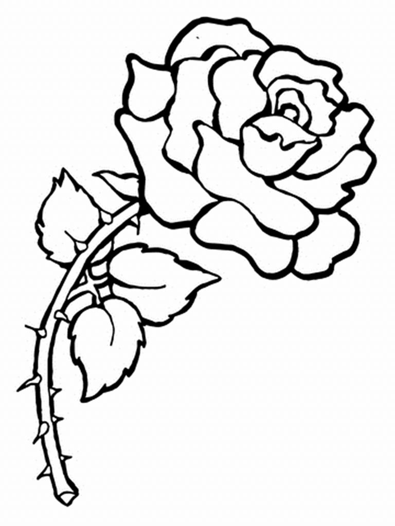 Rose Flower Coloring Pages 768x1024 Rose Flower Coloring Pages
