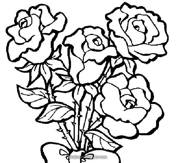 Rose Flower Coloring Pages 600x558 Rose Flower Coloring Pages