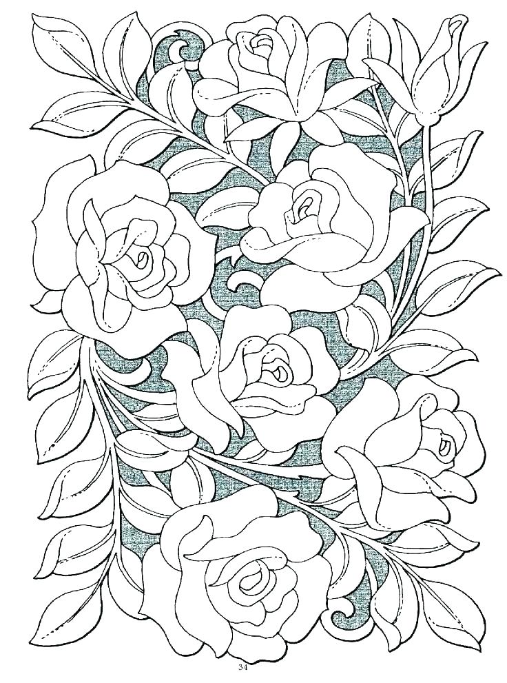 Rose Flower Coloring Pages Shippa.co 736x991 Rose Flower Coloring Pages Shippa.co