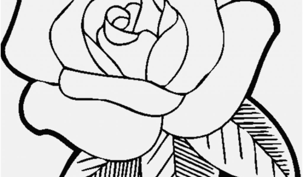 Fall Flowers Coloring Pages Display Rose Flower Coloring Pages 1024x600 Fall Flowers Coloring Pages Display Rose Flower Coloring Pages
