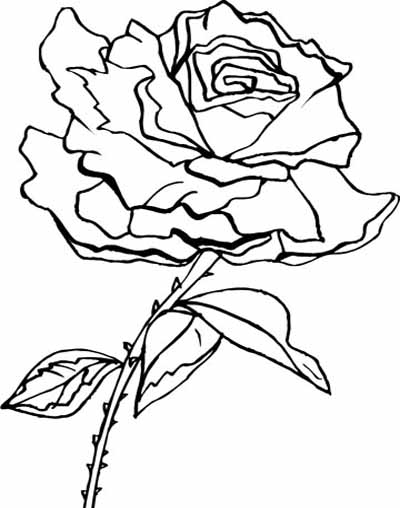 Coloring Blog For Kids Rose Flower Coloring Page Pictures 400x508 Coloring Blog For Kids Rose Flower Coloring Page Pictures