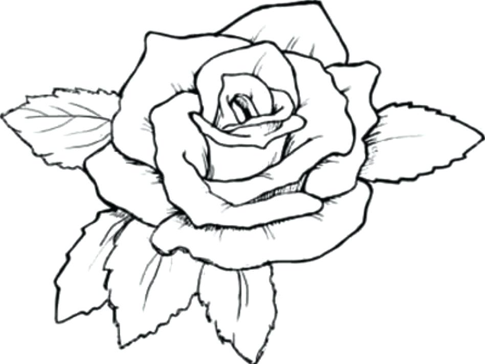 948x711 Rose Coloring Page With Wallpaper Free Coloring Rose Mandala