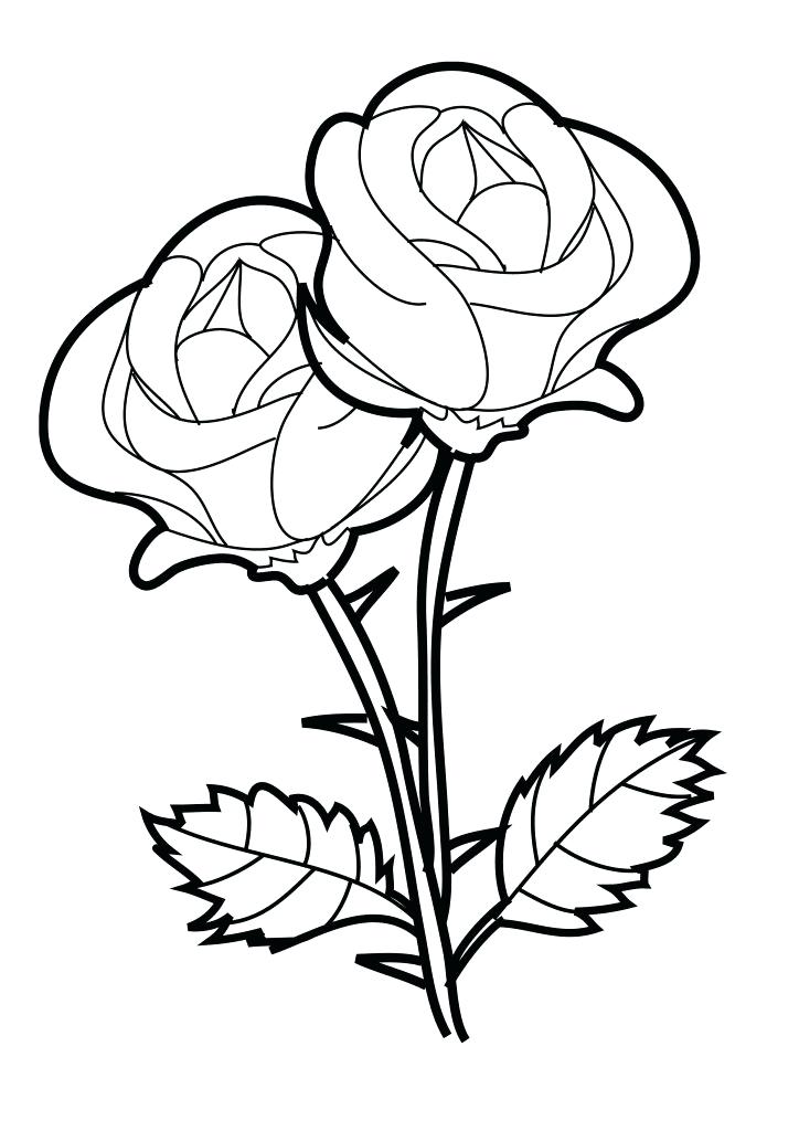 724x1024 Rose Coloring Pages Epic Rose Coloring Pages About Remodel