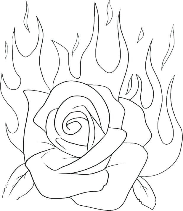 618x709 Rose Coloring Pages Flowers Beautiful Big Rose Coloring Pages Rose