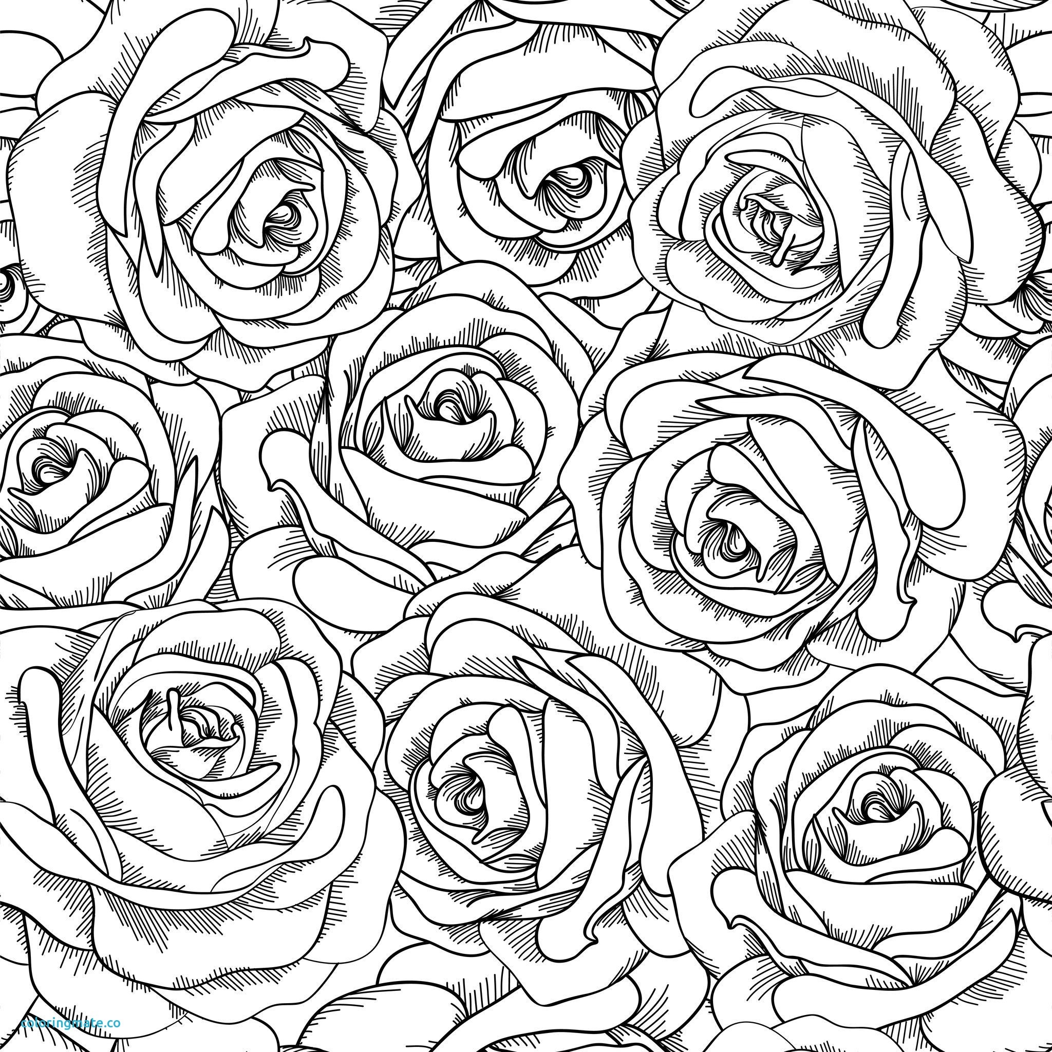 2048x2048 Best Of Rose Mandala Coloring Pages Collection Printable
