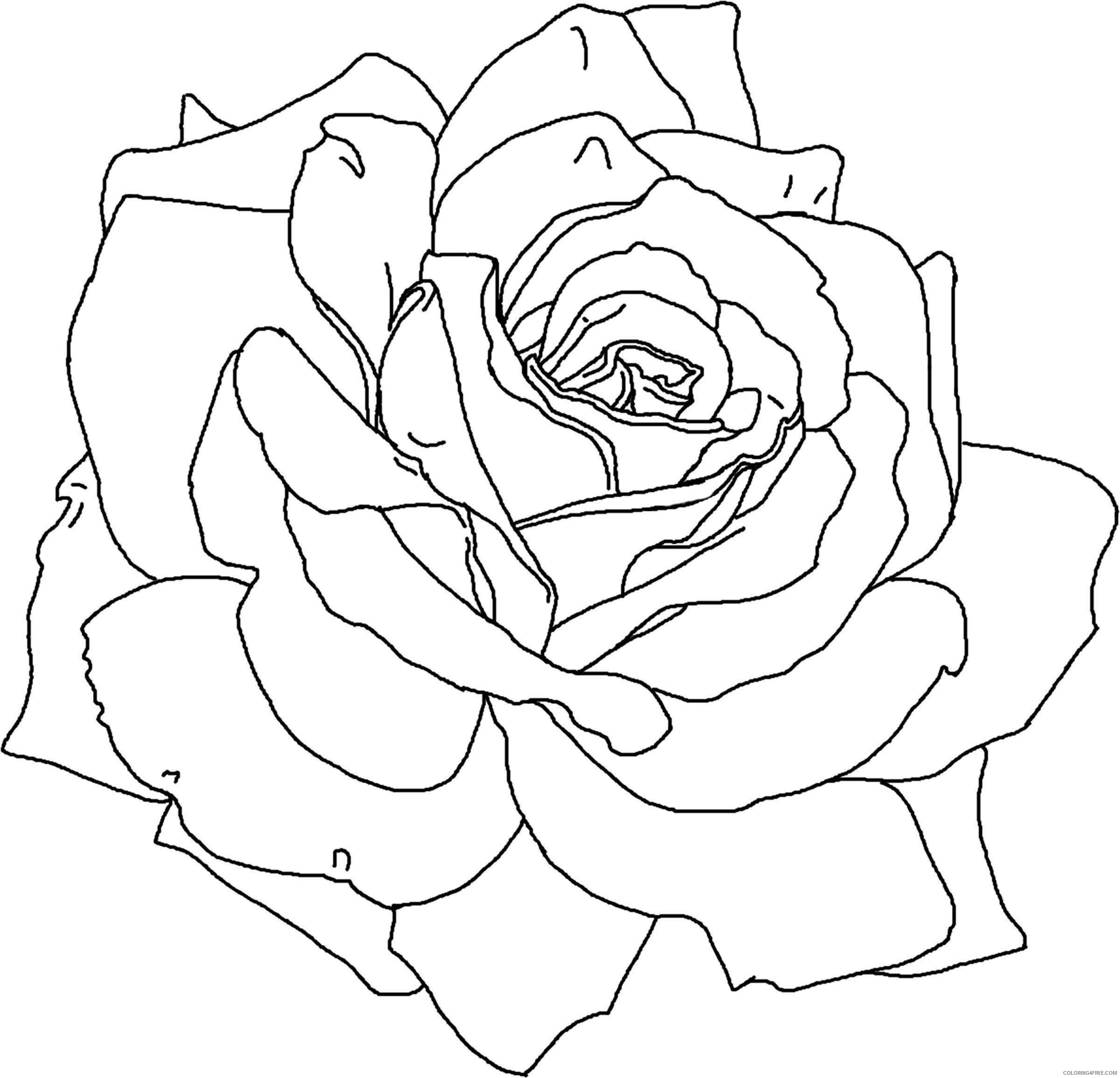 2400x2311 Rose Petals Coloring Pages Coloring4free