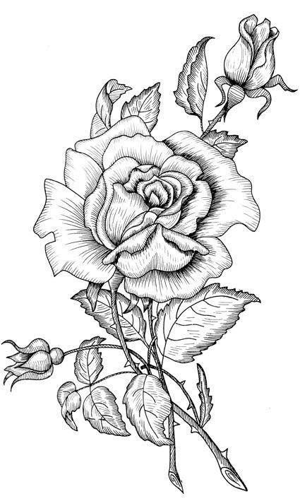 425x709 Pin By Laura B On Disegno Adult Coloring, Wood