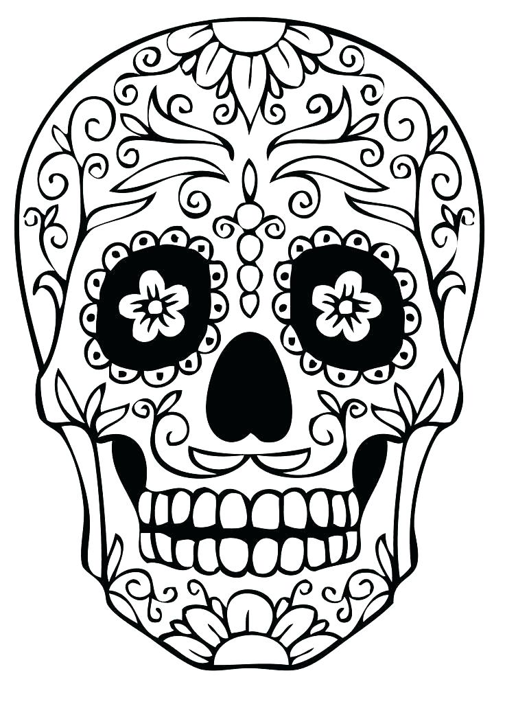 736x1041 Coloring Pages Skull Skull Coloring Pages Enjoyable Printable