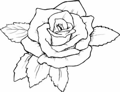 Printable Roses To Color Coloring Pages Of Roses Radiate 400x307 Printable Roses To Color Coloring Pages Of Roses Radiate
