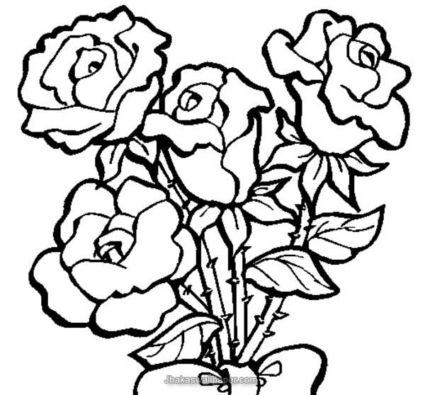 Roses Coloring Pages 600x558 Roses Coloring Pages