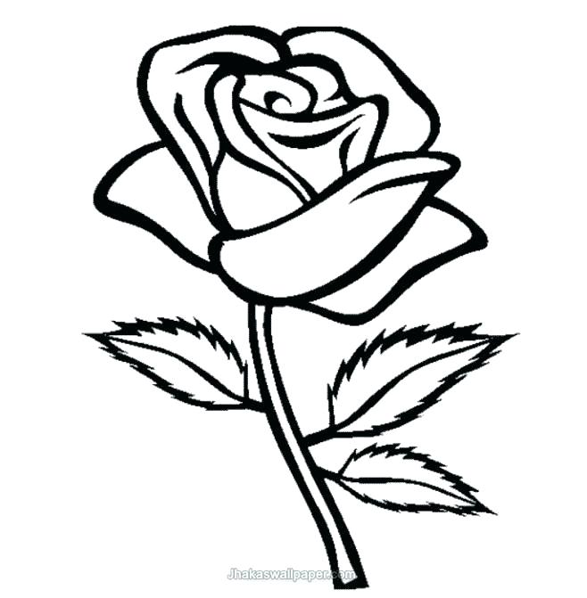 Roses Coloring Pages Printable 11 658x671 Roses Coloring Pages Printable 11