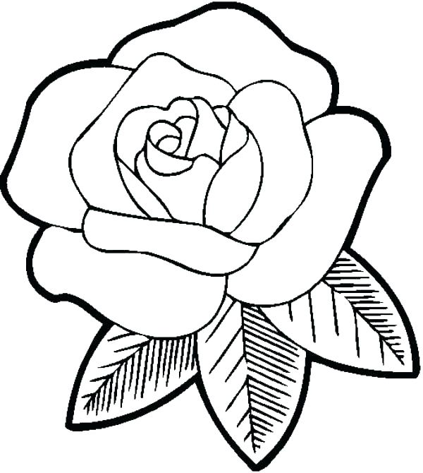 Roses Coloring Pages Printable Rose Coloring Books And Big Flower 600x670 Roses Coloring Pages Printable Rose Coloring Books And Big Flower