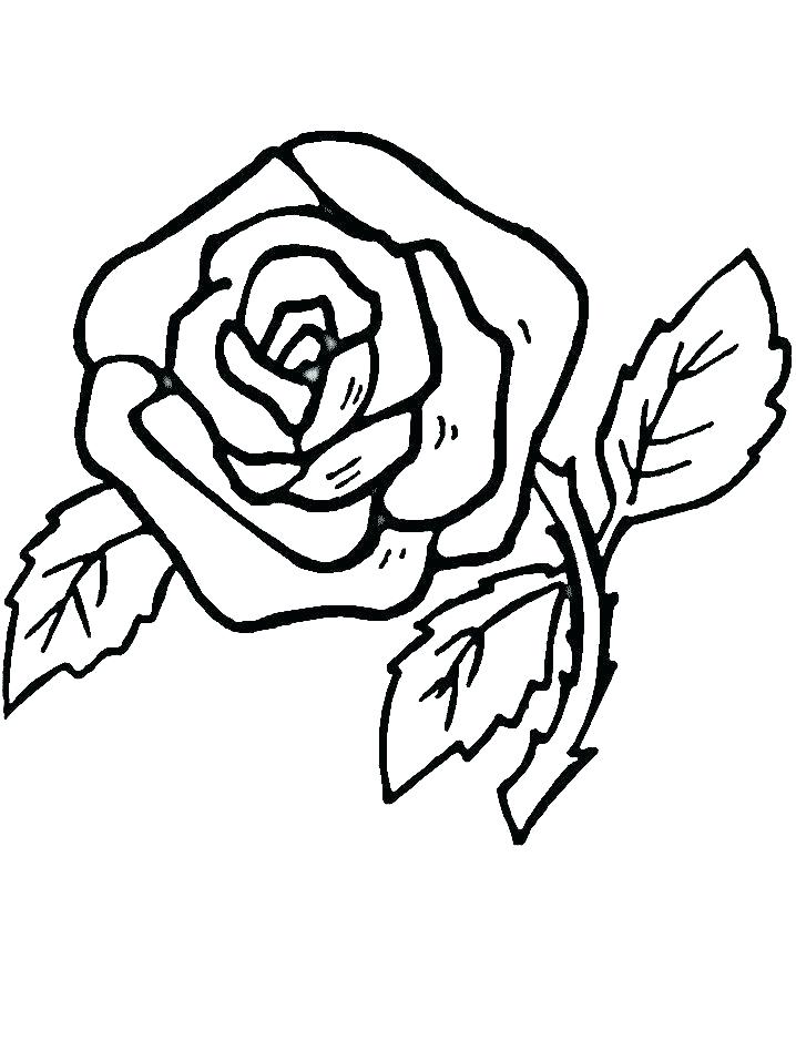 Marvellous Compass Rose Coloring Page 718x957 Marvellous Compass Rose Coloring Page