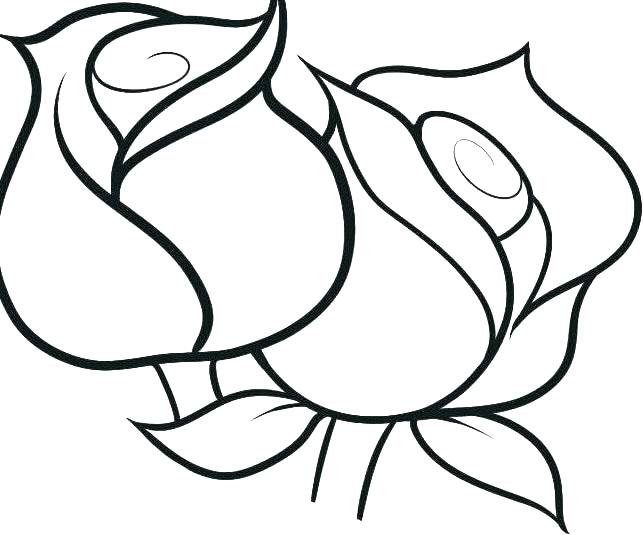 Printable Rose Coloring Pages 643x535 Printable Rose Coloring Pages