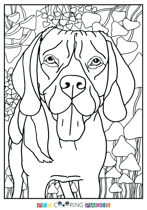 500x711 Beagle Coloring Pages Beagle Coloring Rottweiler Puppy Animal