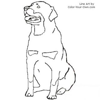 320x320 Rottweiler Coloring Page Inkspired Musings Let's All Go To