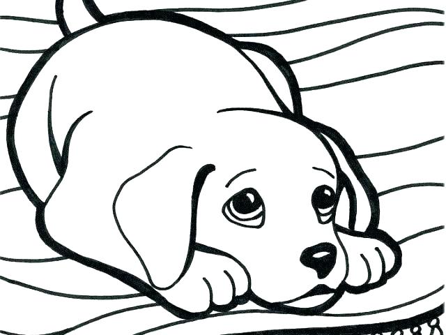 640x480 Beagle Coloring Pages Rottweiler Coloring Pages Awesome Rottweiler