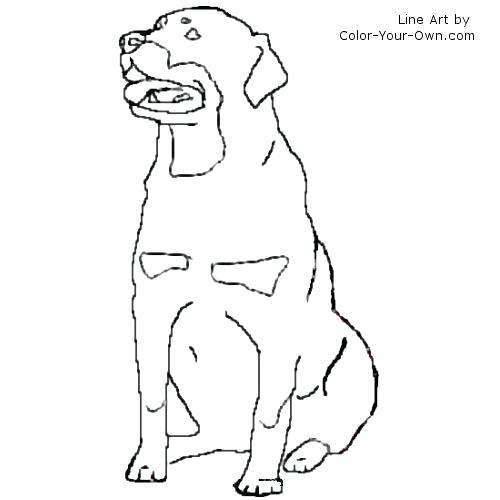 500x500 Dachshund Coloring Pages Coloring Free Coloring Dog With A Blog