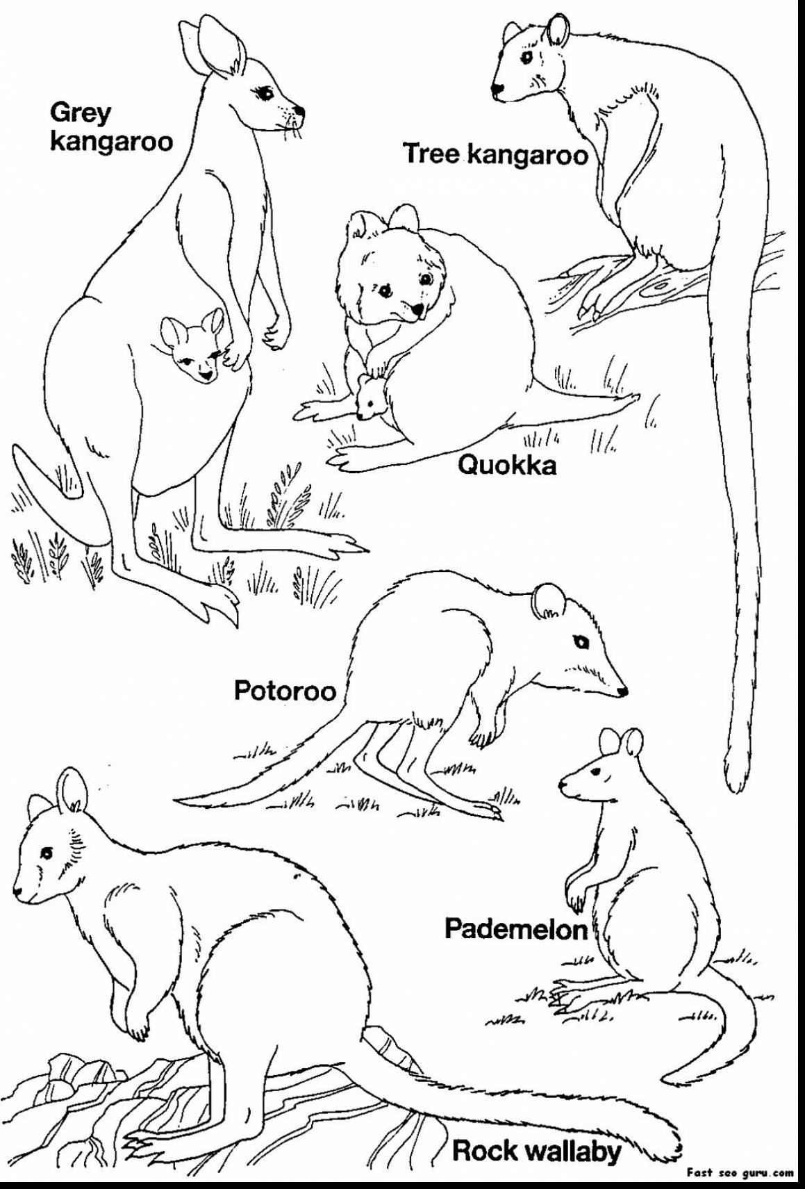 Lovely Rowdyruff Boys Coloring Pages Advanced Coloring Pages 1159x1711 Lovely Rowdyruff Boys Coloring Pages Advanced Coloring Pages