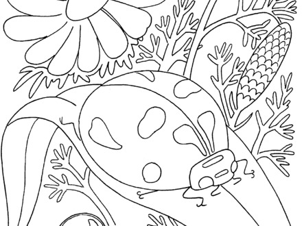 21 Insect Coloring Pages Pdf, Rowdyruff Boys Coloring Pages 440x330 21 Insect Coloring Pages Pdf, Rowdyruff Boys Coloring Pages