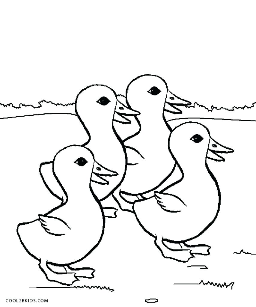 Freele Daisy Duck Coloring Pages Daffy Dynasty Donald 854x1024 Freele Daisy Duck Coloring Pages Daffy Dynasty Donald