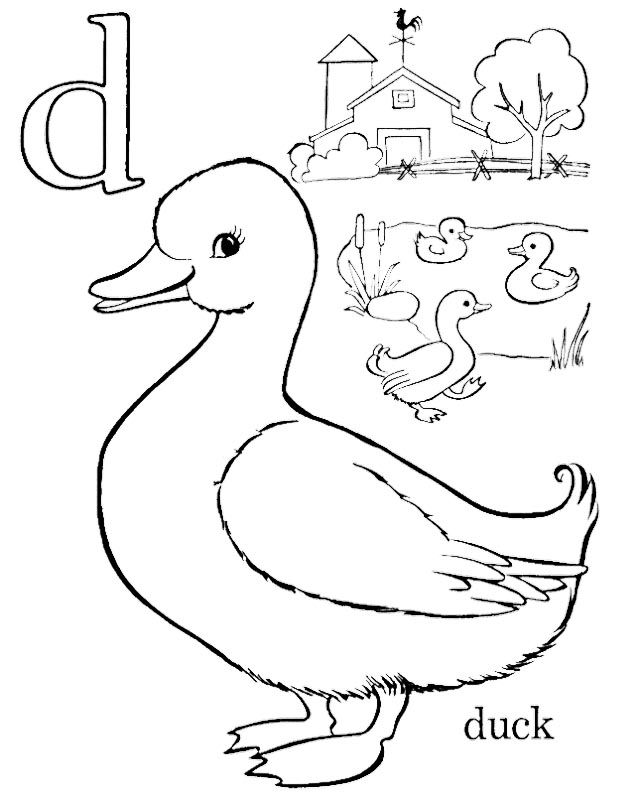 Rubber Duck Coloring Pages 640x801 Rubber Duck Coloring Pages