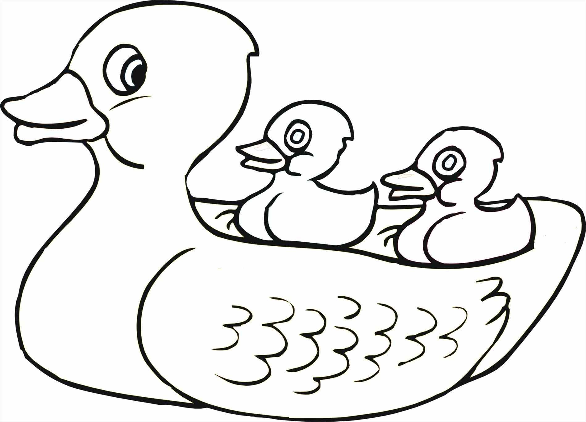 Unique Rubber Duck Coloring Pages Gallery Free 1899x1367 Unique Rubber Duck Coloring Pages Gallery Free