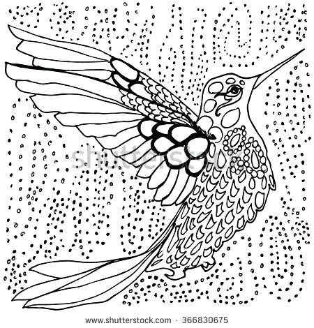 450x470 Hummingbird Coloring Page Printable Hummingbird Coloring Pages