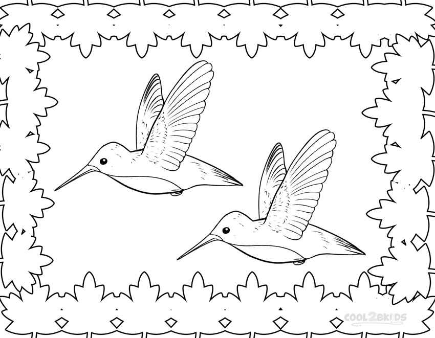 850x661 Printable Hummingbird Coloring Pages For Kids Cool2bkids