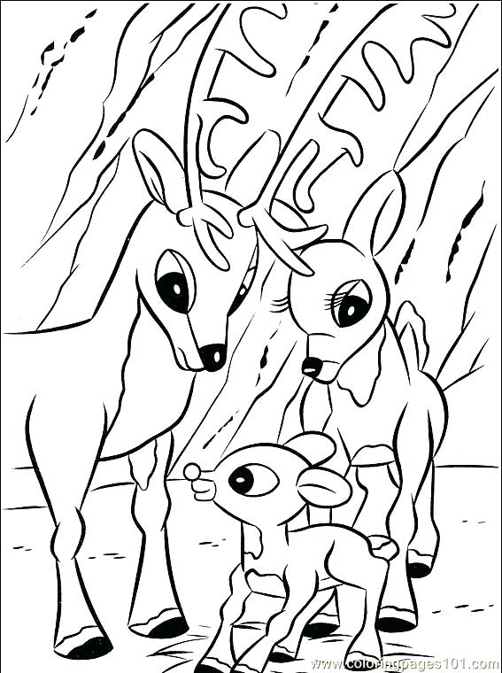 567x760 Rudolph The Red Nosed Reindeer Coloring Sheet 3 Coloring Page