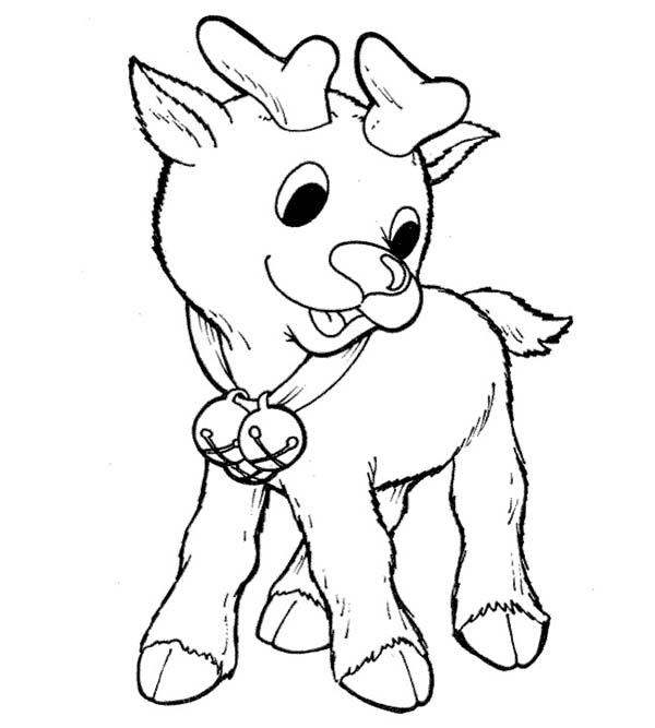 Little Rudolph The Red Nosed Reindeer Coloring Page Color Luna 600x667 Little Rudolph The Red Nosed Reindeer Coloring Page Color Luna