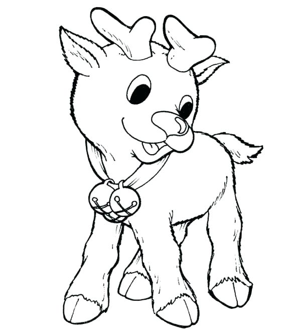 600x667 Coloring Pages Of Rudolph The Red Nosed Reindeer Reindeer Coloring